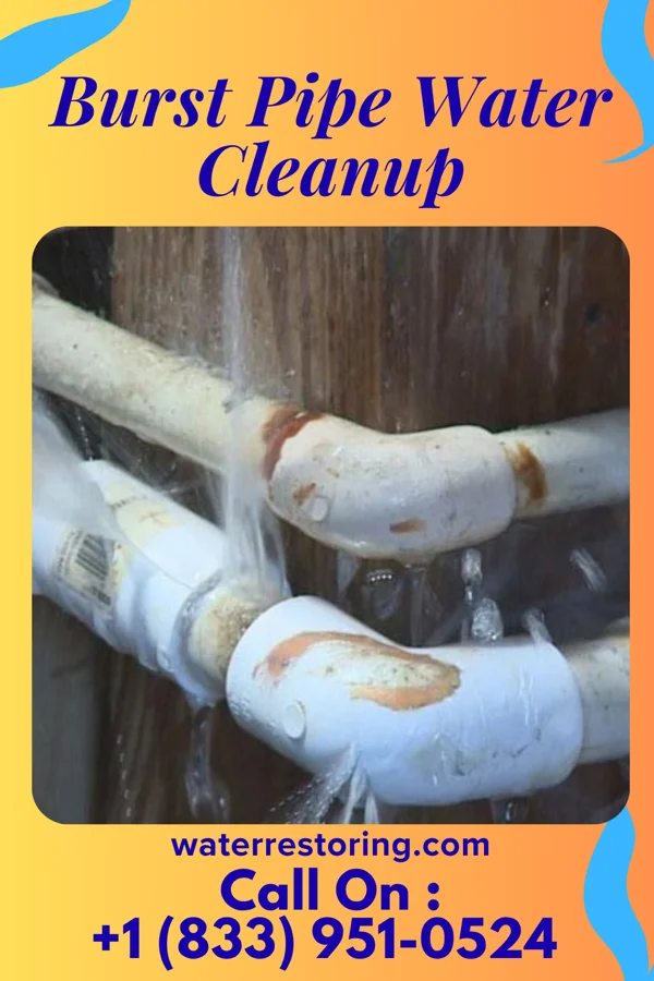 Burst Pipe Water Cleanup in Zuni Pueblo, NM