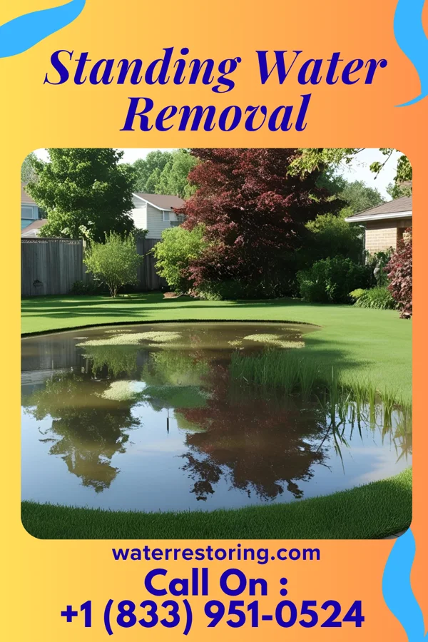 Standing Water Removal in Zuni Pueblo, NM